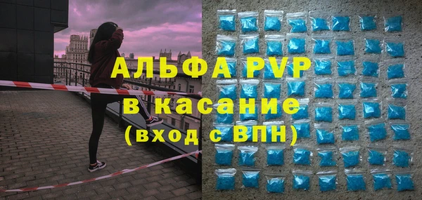 спиды Пересвет