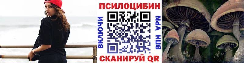 цены Осташков Псилоцибиновые грибы MAGIC MUSHROOMS